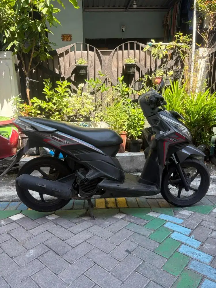 Vario Techno 2011