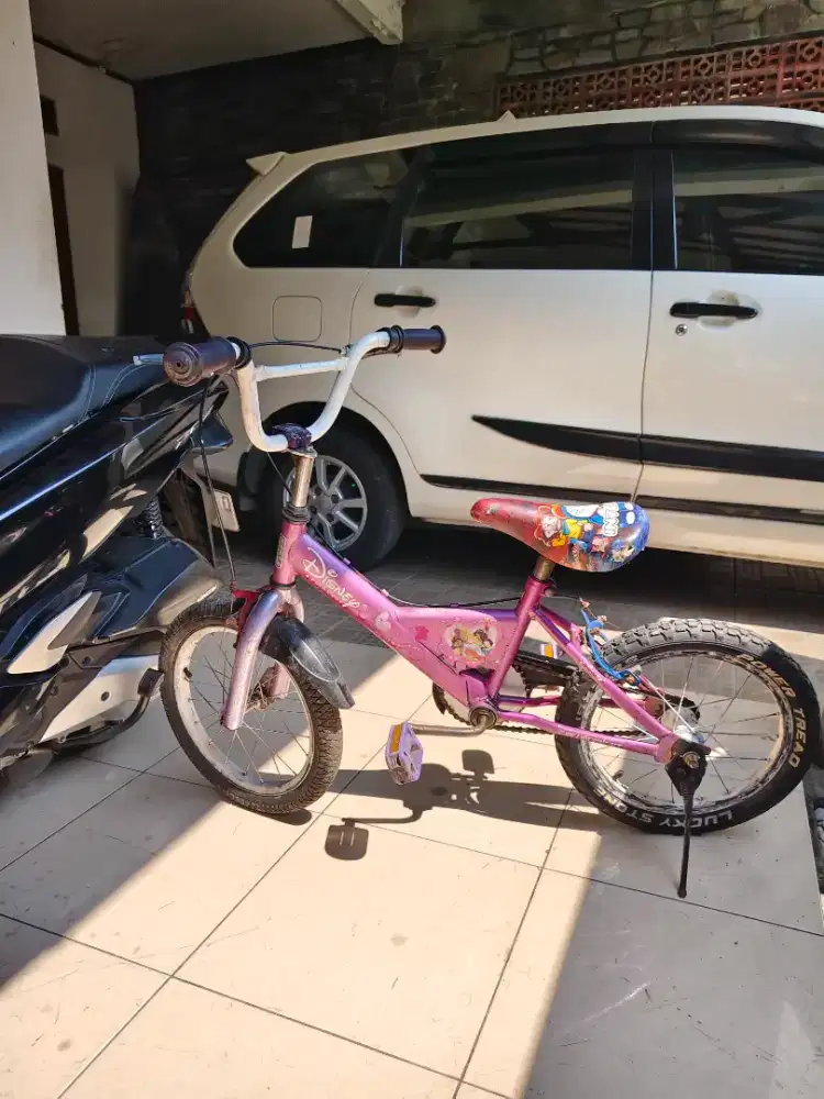 Sepeda Wimcycle anak 16 inch