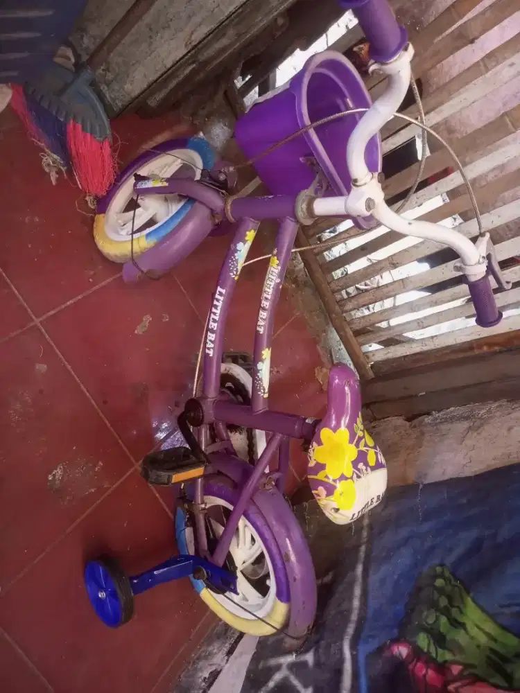 Jual speda anak perempuan ada roda bantunya