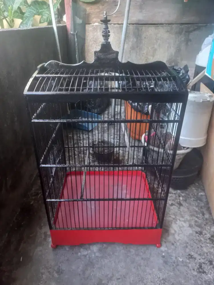 Sangkar kenari no 2
