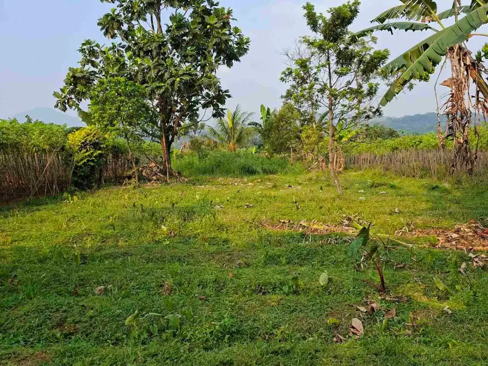 Di jual tanah darat Dekat summarecon bogor.sangat cocok untuk villa dan investasi masa depan.