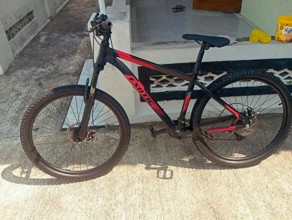 FS sepeda mtb exotic
