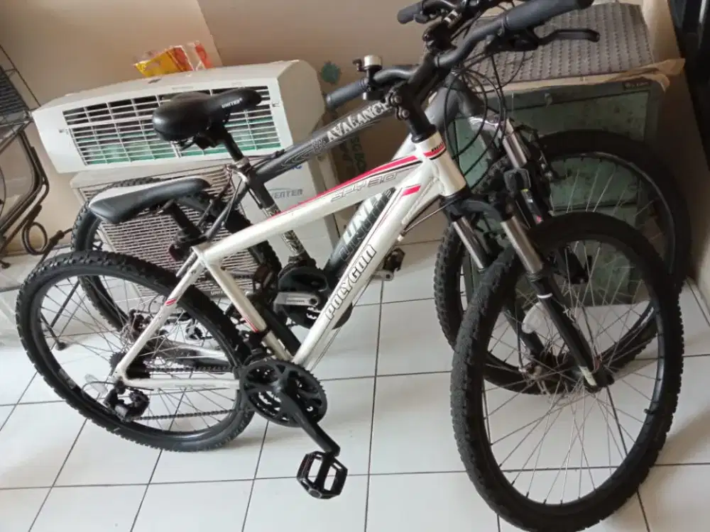Polygon MTB. Disc Break (depan-belakang)