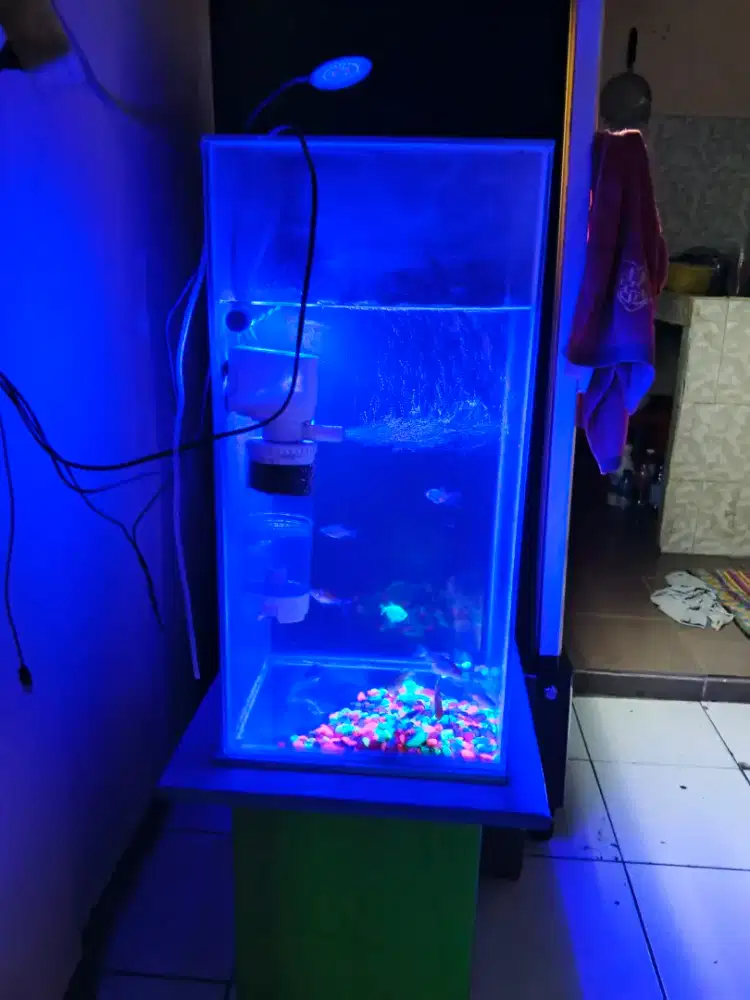 jual cepat Aquarium seken