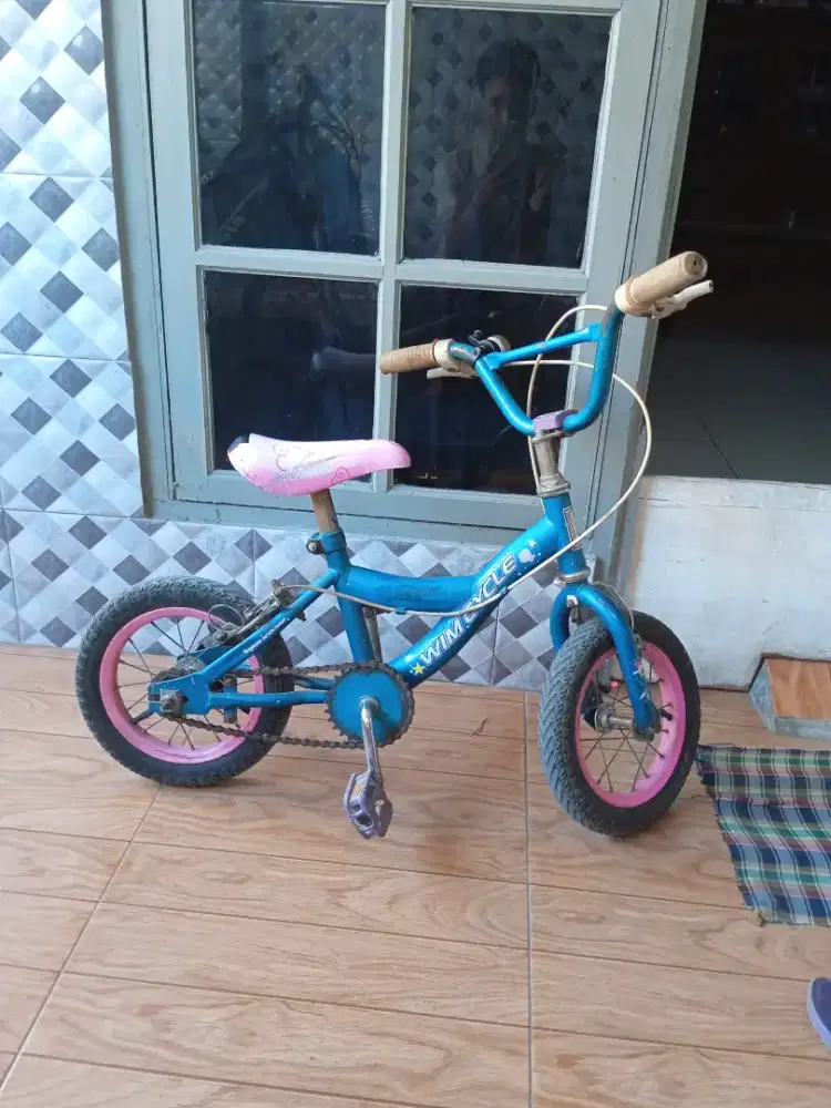 Sepeda wimcycle ring 12