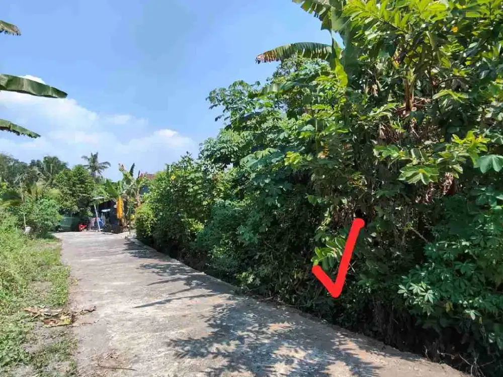 DIJUAL TANAH STRATEGIS AREA PENDOWOHARJO DEKAT SCH, JEJAMURAN, OBELIX VILLAGE