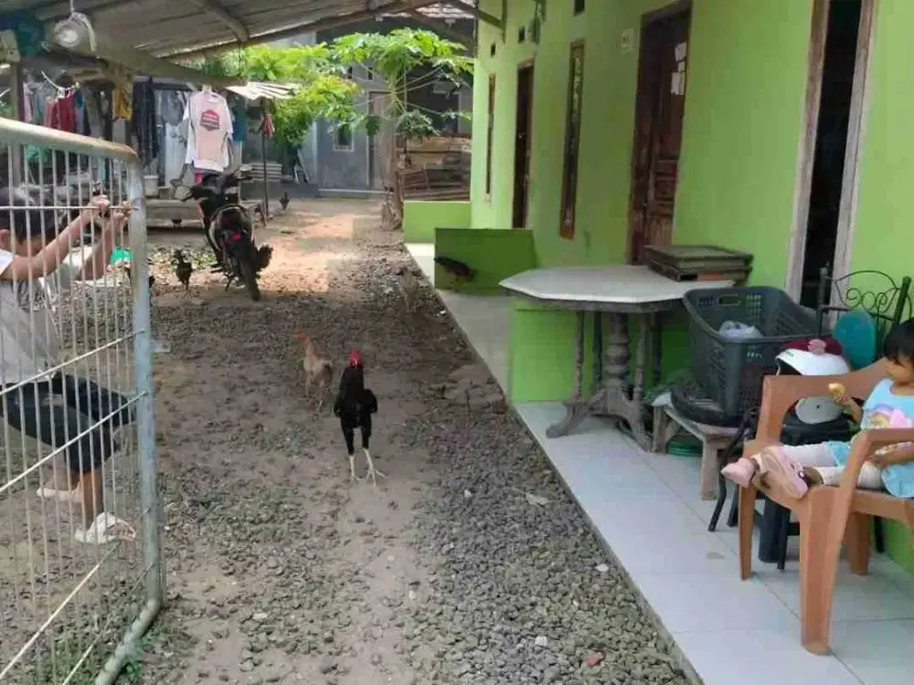 Dijual Cepat Kontrakan 3 Pintu Terisi Full Lt 120m² Akses Mobil surat SHM - Rp.265Jt Nego