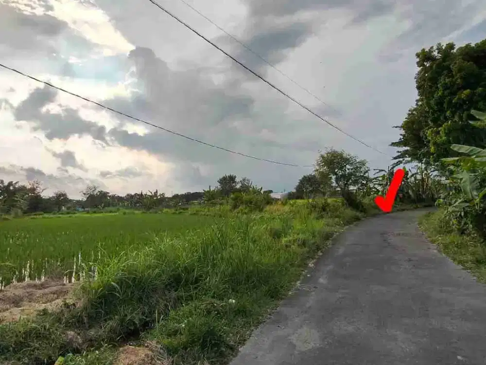 DIJUAL TANAH PEKARANGAN STRATEGIS JALAN PALAGAN-JALAN KALIURANG