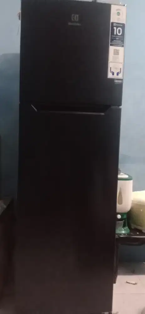 kulkas 2 pintu elektrolux