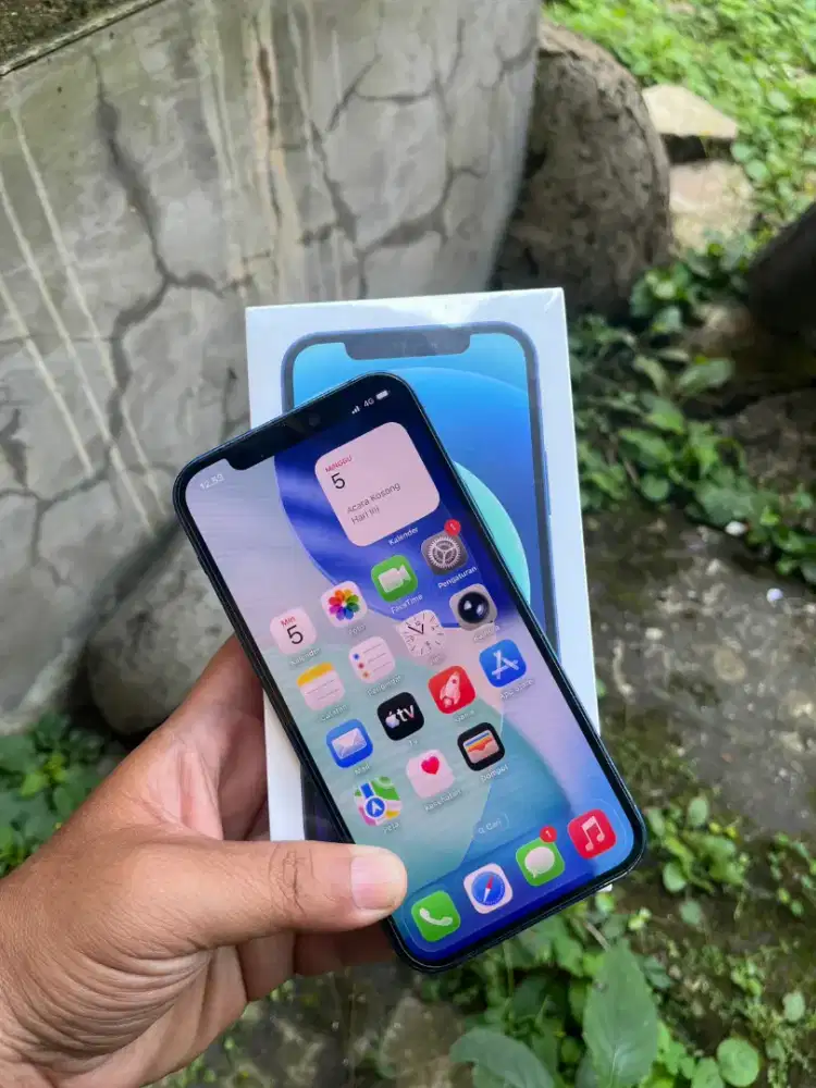 Iphone 12 (64) ibox resmi