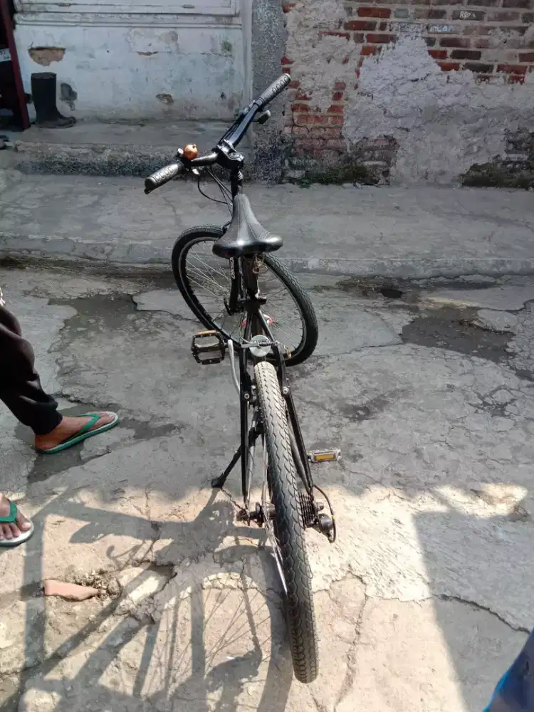 Sepedah poligon urban bike