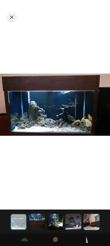 Aquarium Ikan full set