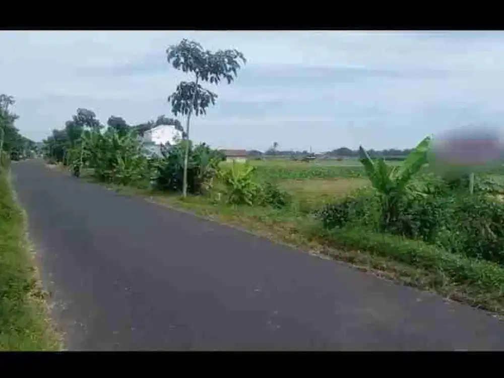 jual tanah murah harga di bawah pasar bagus untuk usaha ,rumah hunian di sekoto- Badas- kediri - jatim