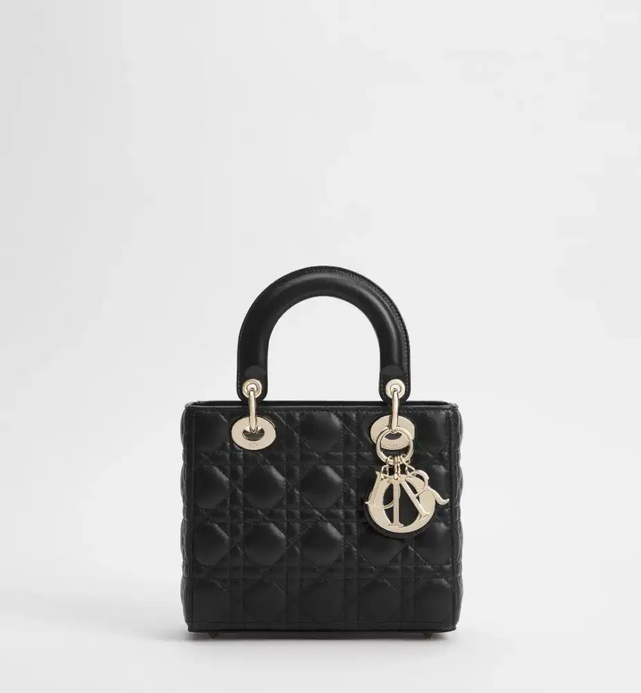 D*OR My Lady Di*r Bag