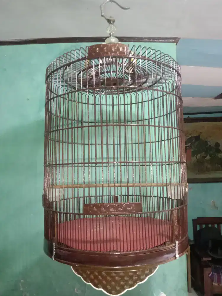 Sangkar muRai  Dm 54 bekas layak pakai...mulus, tidak ada krodong