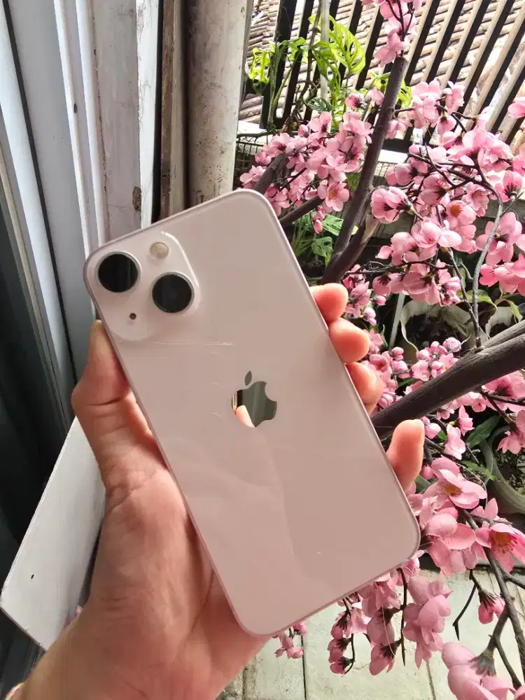 IPhone 13 Mini 256GB Pink Digimap