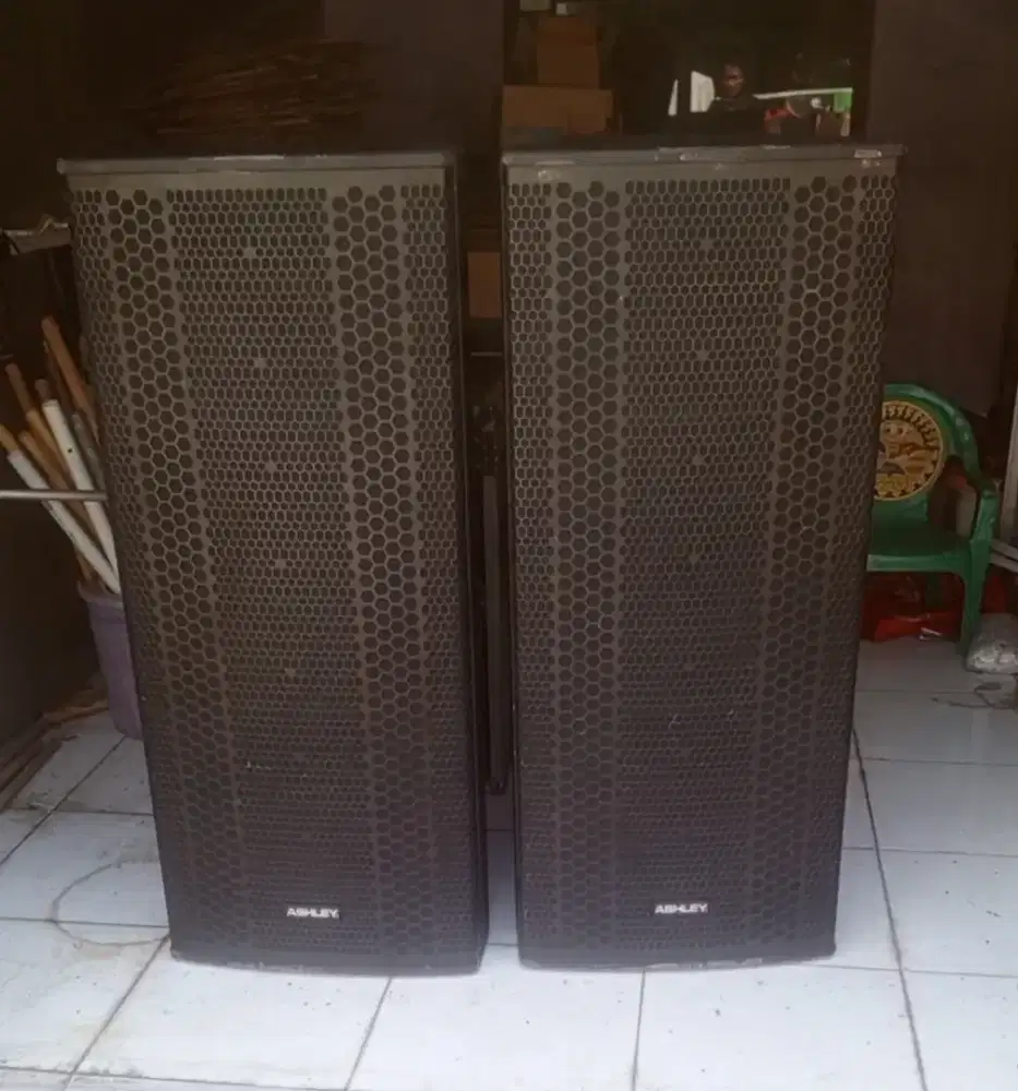 Monitor panggung ASHLEY TW -215P