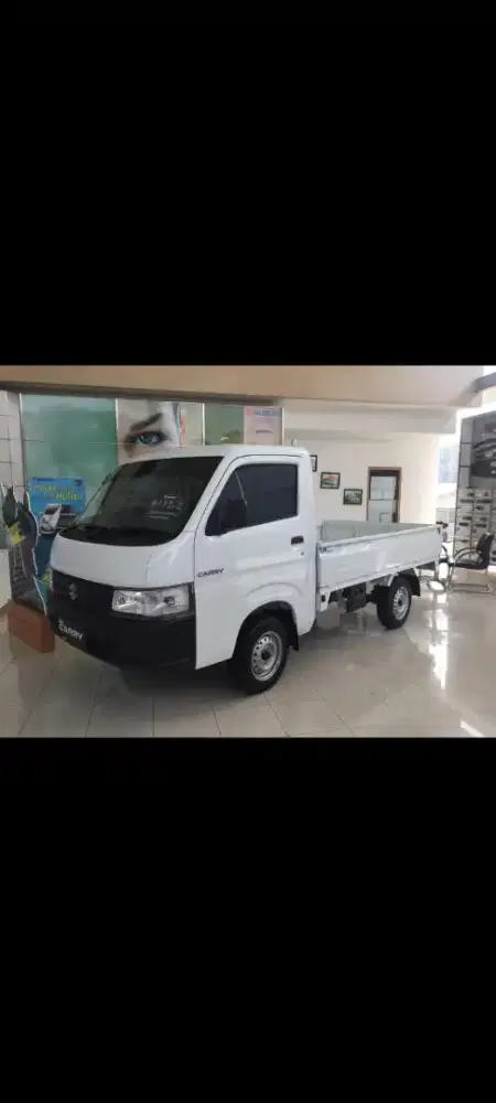 Suzuki carry pick up