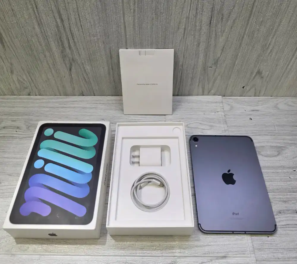 Ipad Mini 6 256GB Gray Cell Inter Fullset