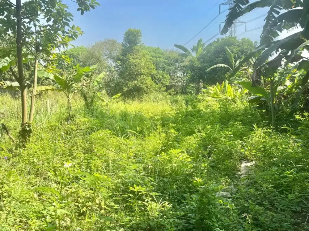 Dijual Tanah di Margasari Dawuan Subang