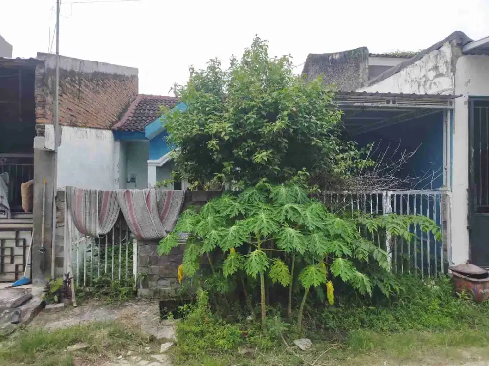 DI JUAL RUMAH 

PERUM PURI DANDER ASRI BLOK N/09
KEL. : NGUMPAKDALEM
KEC. : DANDER
KAB  : BOJONEGORO