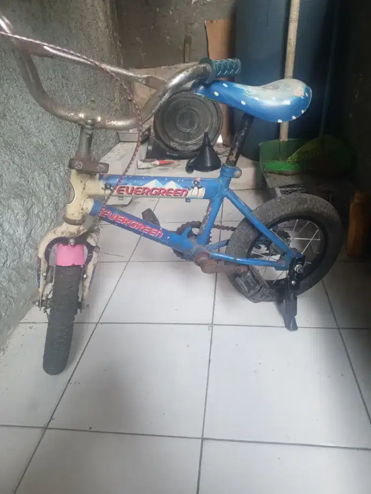 Sepeda anak 12 inch