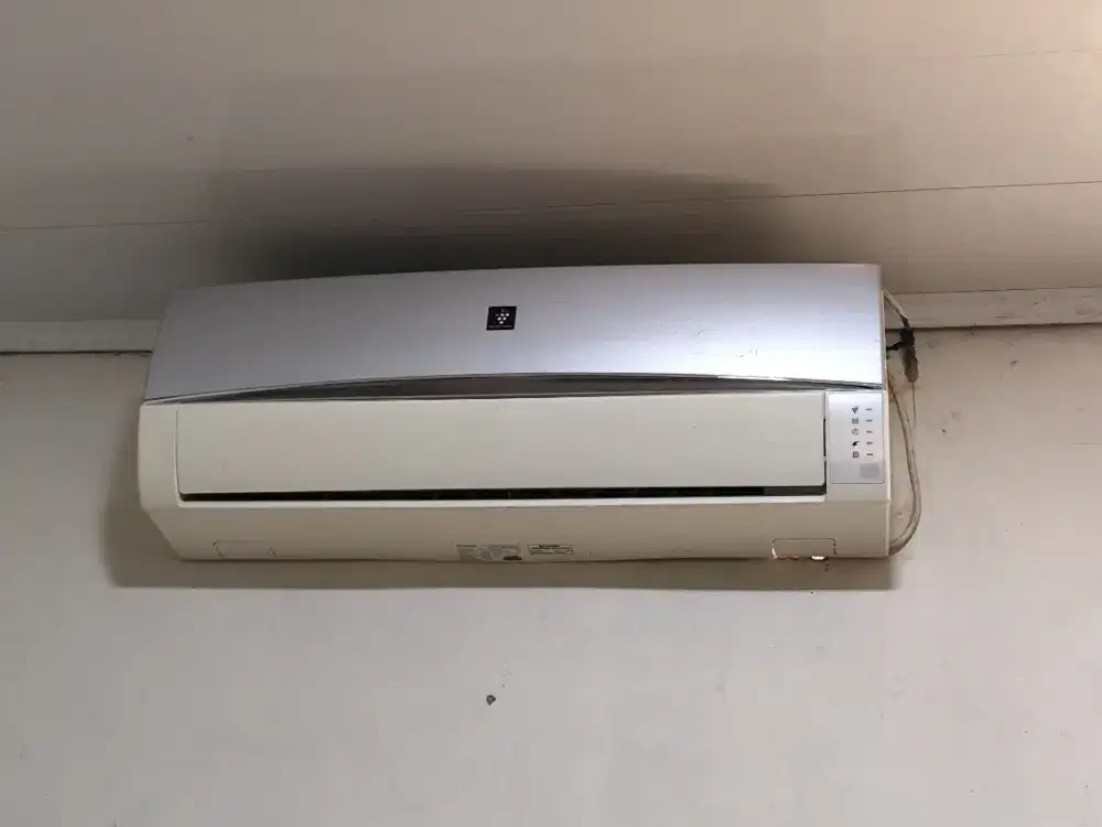 Ac Sharp plasma 1Pk (2nd)