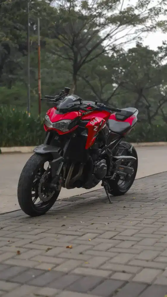 Kawasaki Z900 2018