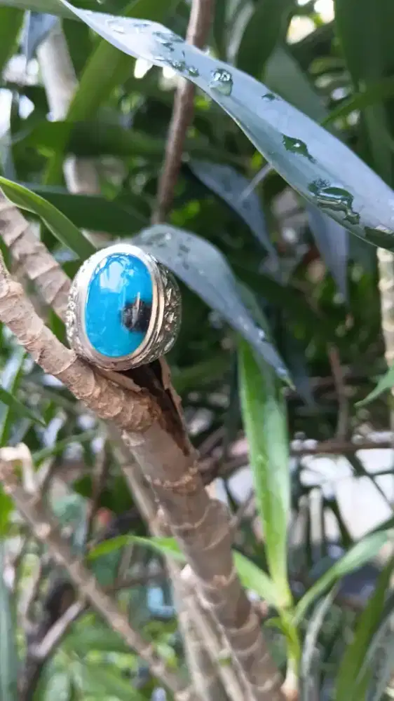 Bacan doko kristal blue fancy dim 20x9x7