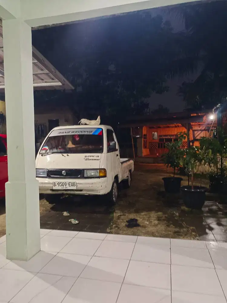 Cary futura tahun 2000 , kaleng panjang , Pajakhidup , Kiryg mati,