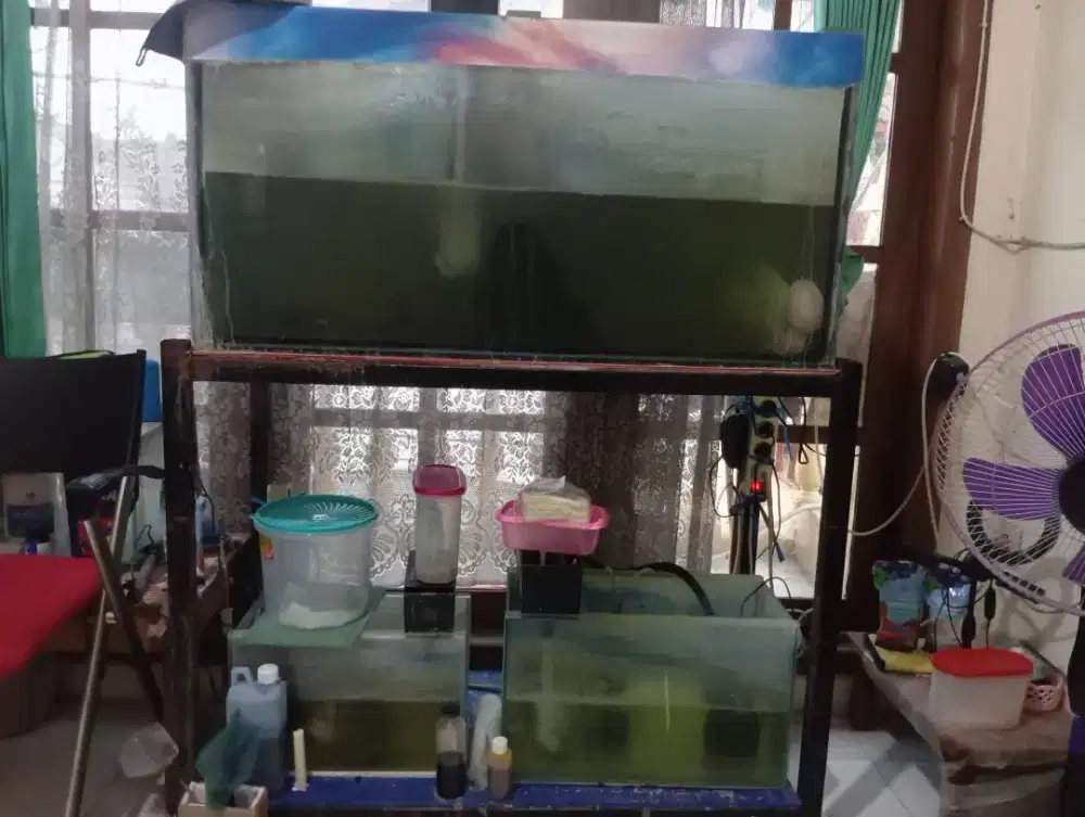 dijual akuarium ukura PxLxT=1meterx50x50