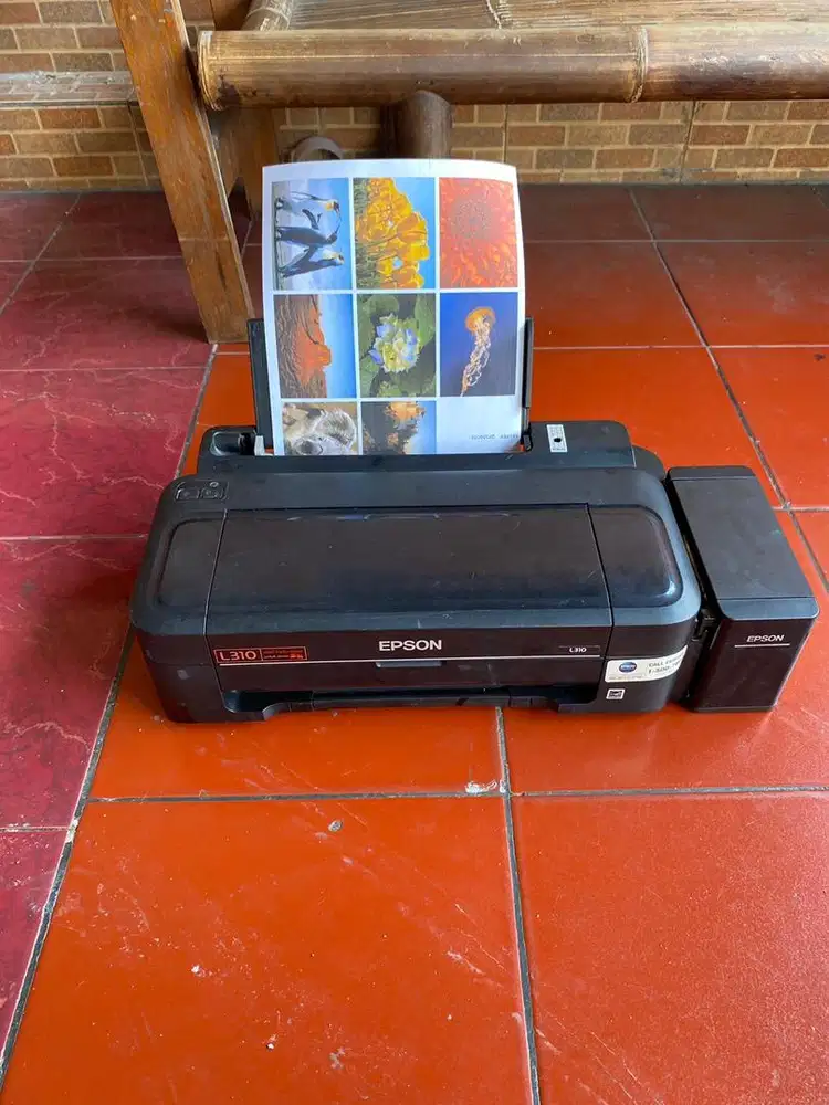 Printer epson l310