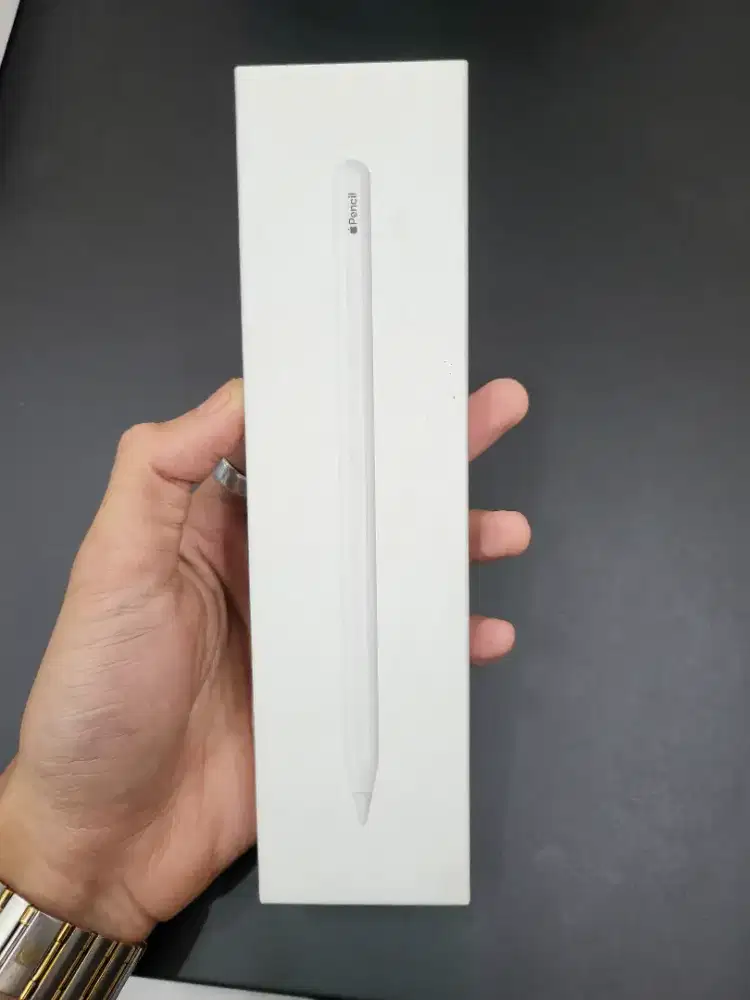 Apple Pen Gen 2 Fullset Type C