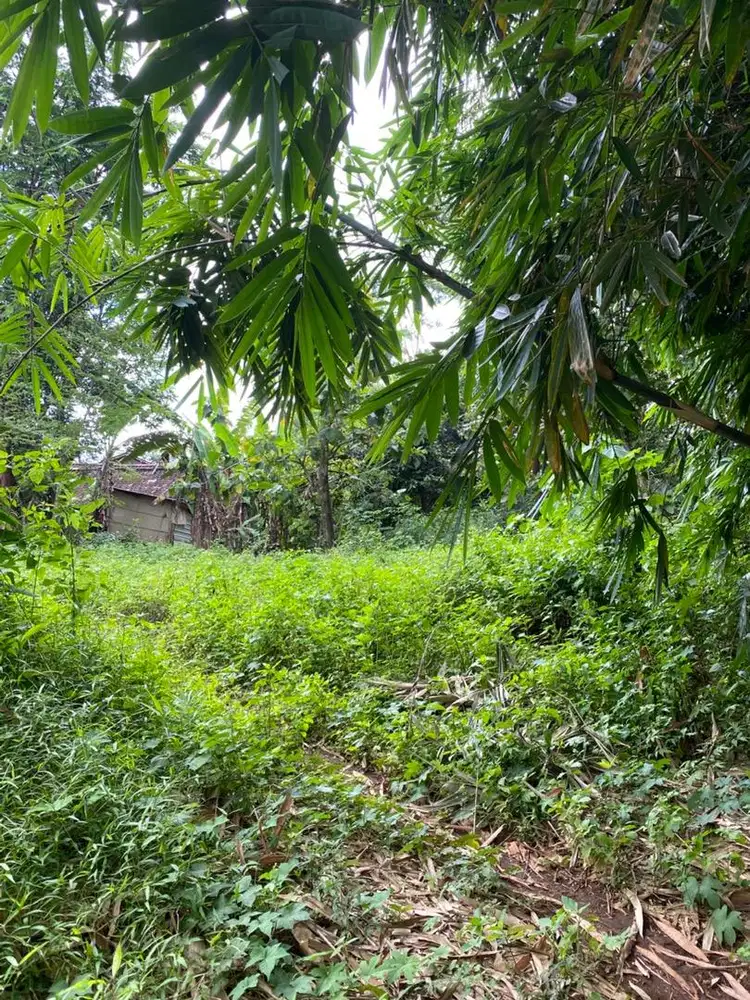 Dijual Tanah Strategis dan Murah sudah SHM
