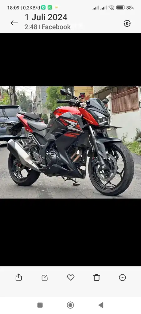Kawasaki z series 250  cc