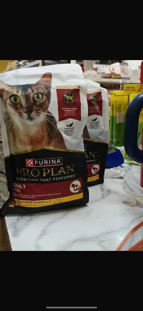 Dicari karyawan petshop pengalaman