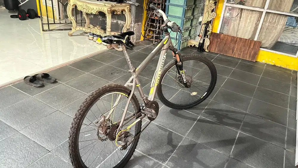 sepeda gunung polygon
