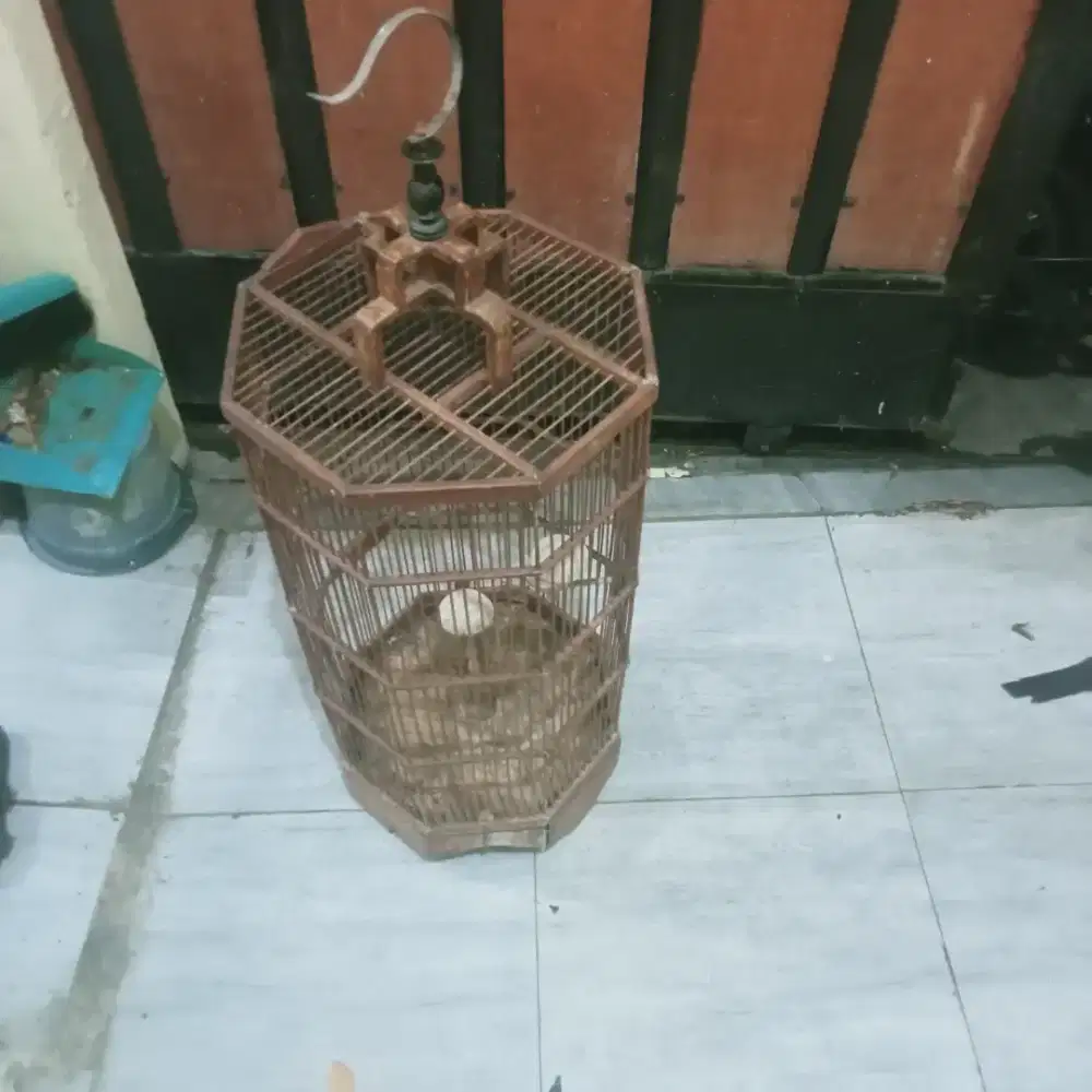 Kandang burung modern