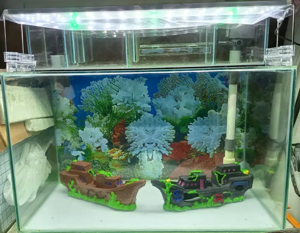 Aquarium fullset (kaca langsung pabrik) (Rumahnya ikan)