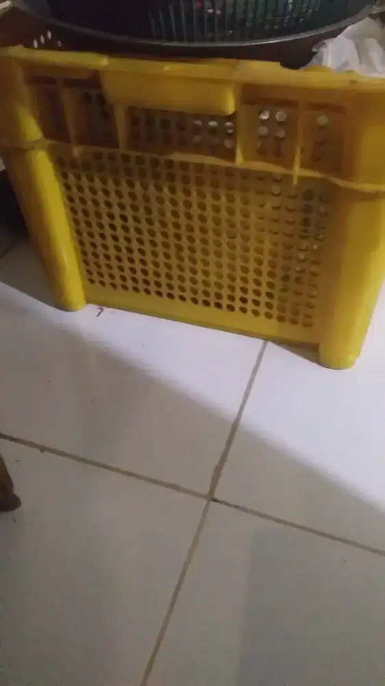 keranjang plastik krat container