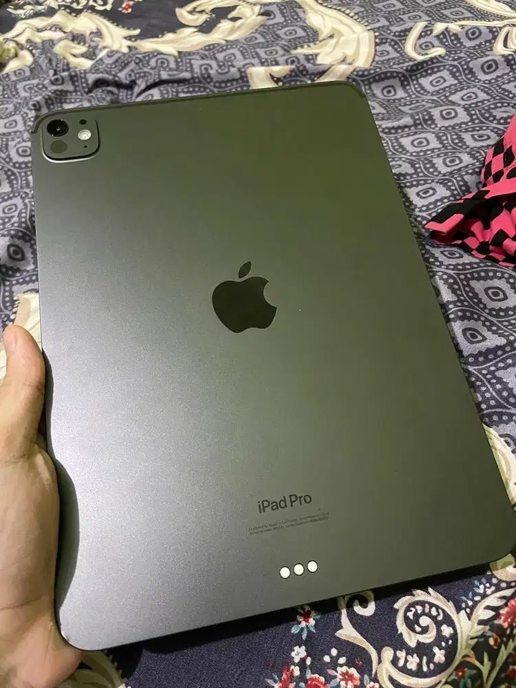ipad pro m4 256 gb inter wifi only