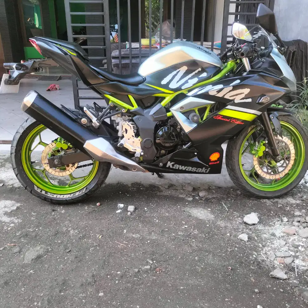 Kawasaki ninja 250R mono 2021