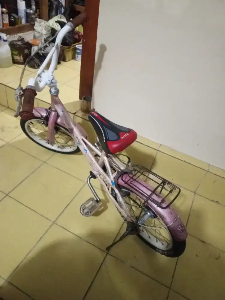Sepeda anak 16 inchi