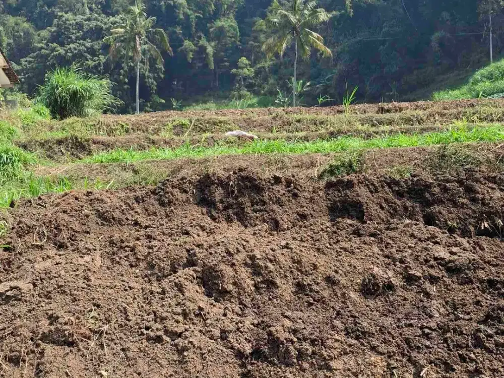 Tanah Murah Dekat Balaikota Among Tani- Batu Malang