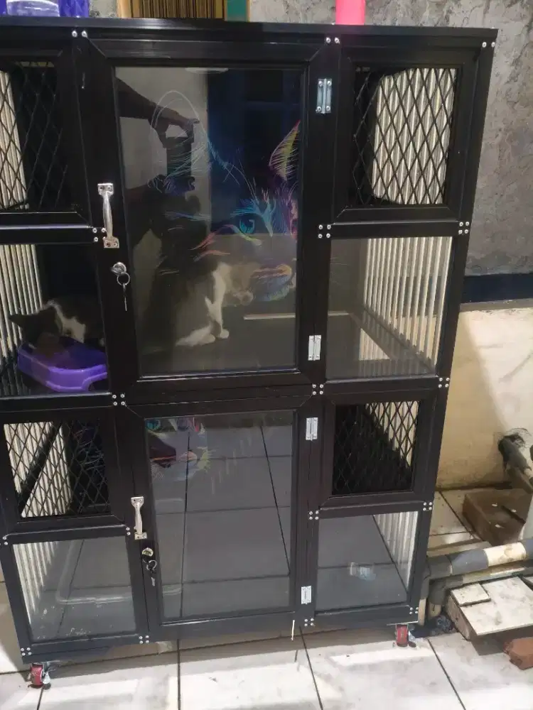 Di jual kandang kucing