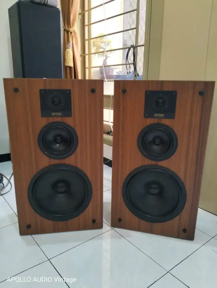 Celestion Ditton 300 England