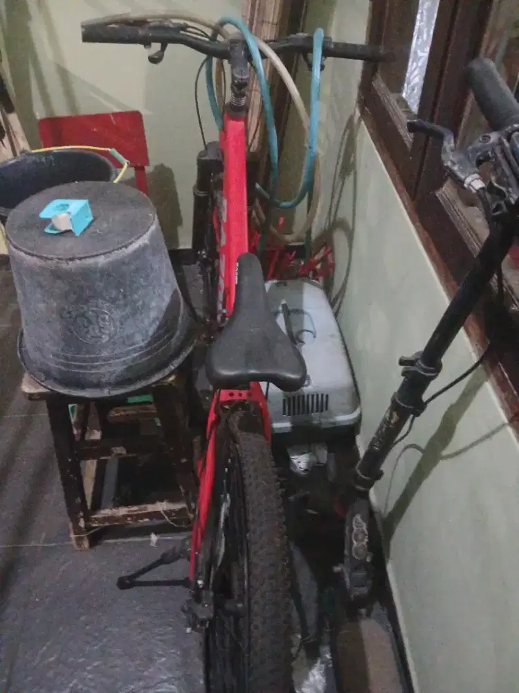 Sepeda dewasa ring 26