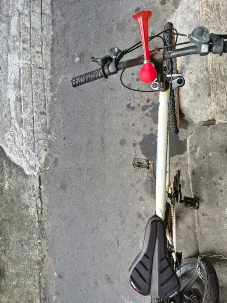 Sepeda provo genio