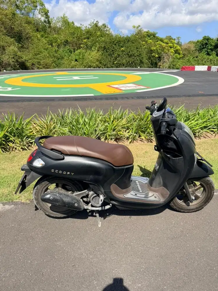 Scoopy Prestige Black