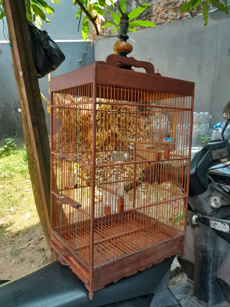 KANDANG BURUNG UKURAN 2